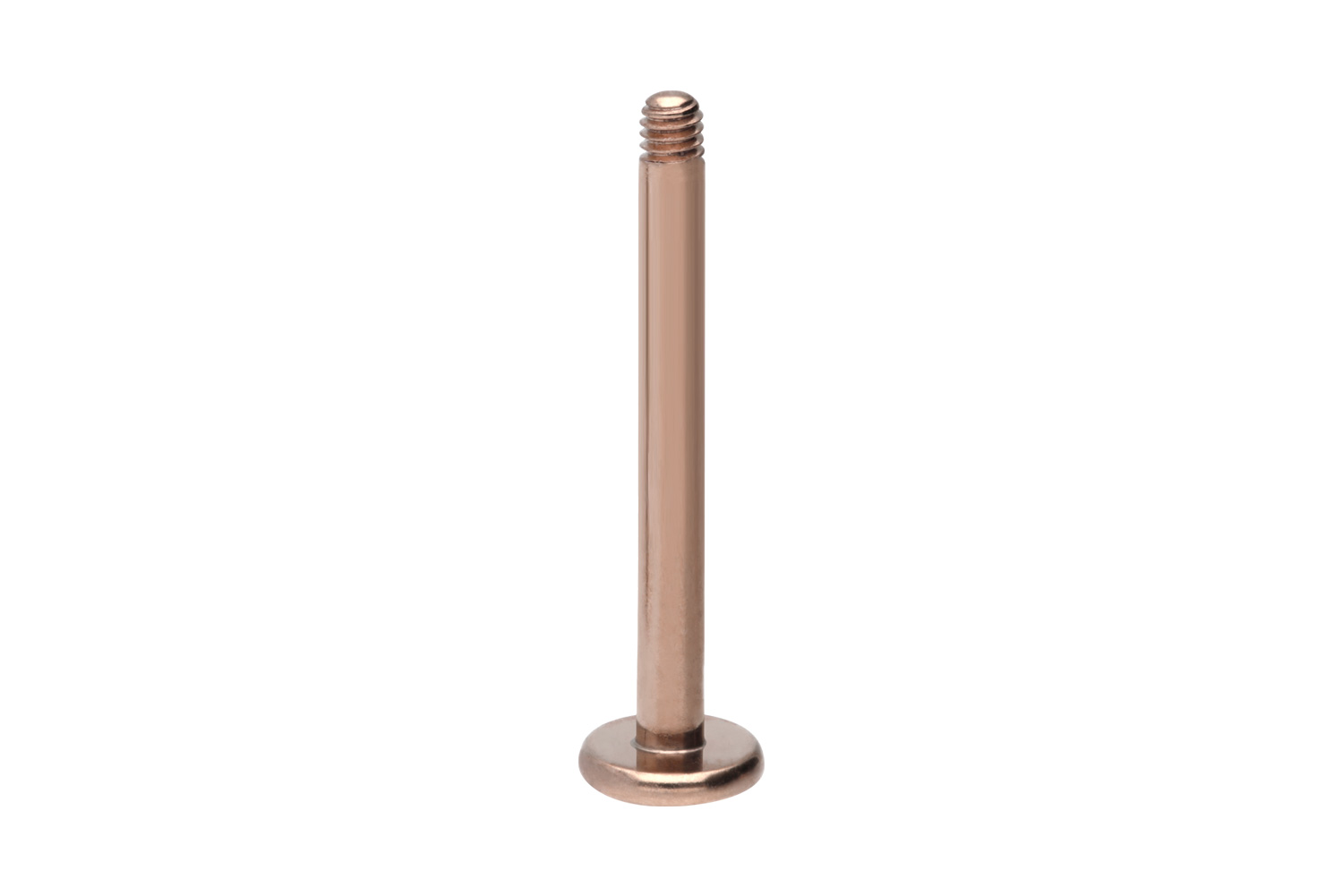 Titan Labret Piercing ohne Kugel
